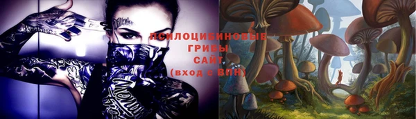 a pvp Алзамай