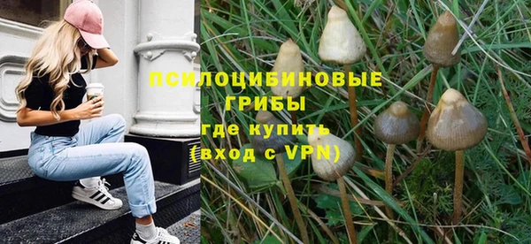 a pvp Алзамай