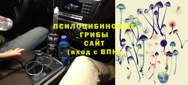 a pvp Алзамай