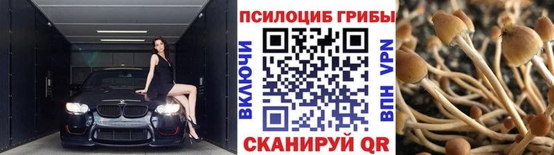 Псилоцибиновые грибы мицелий  гидра ССЫЛКА  Мичуринск 